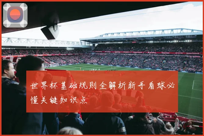 世界杯基础规则全解析新手看球必懂关键知识点