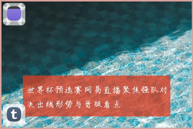 世界杯预选赛网易直播聚焦强队对决出线形势与晋级看点